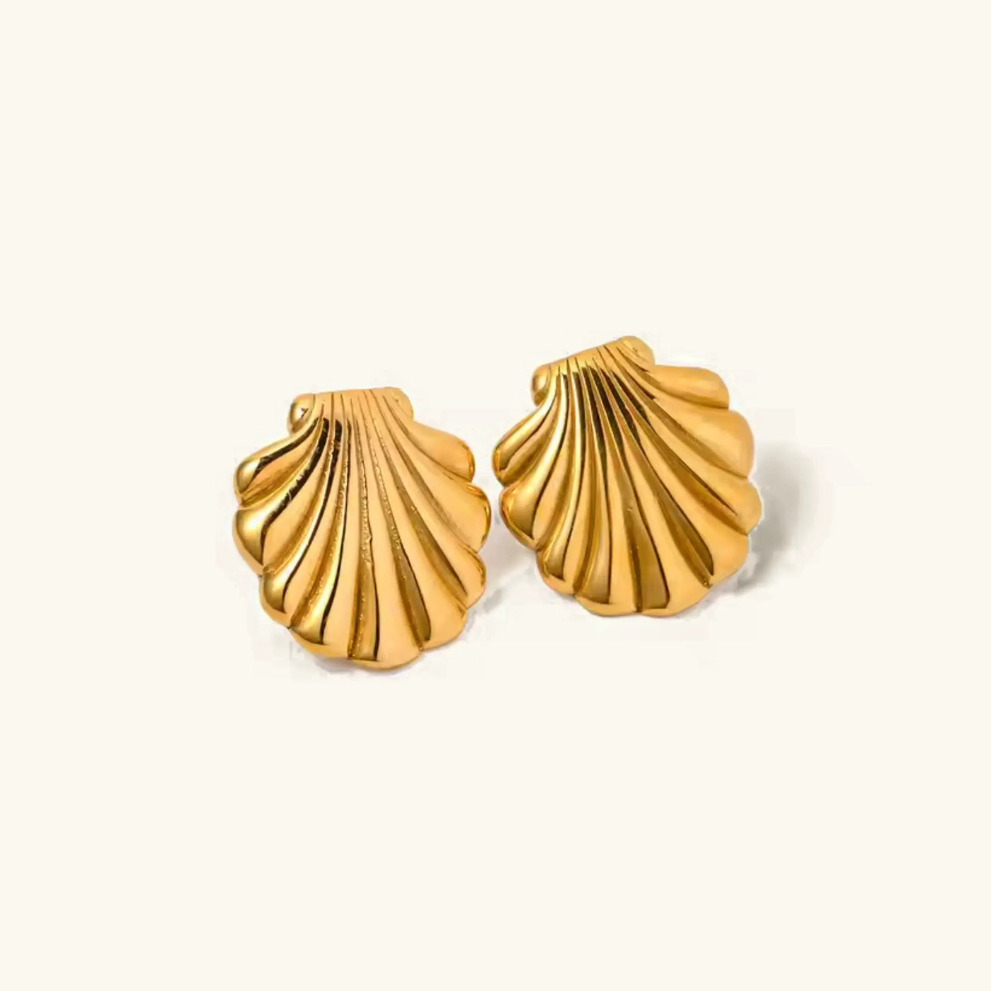 Bayside Seashell Uhani